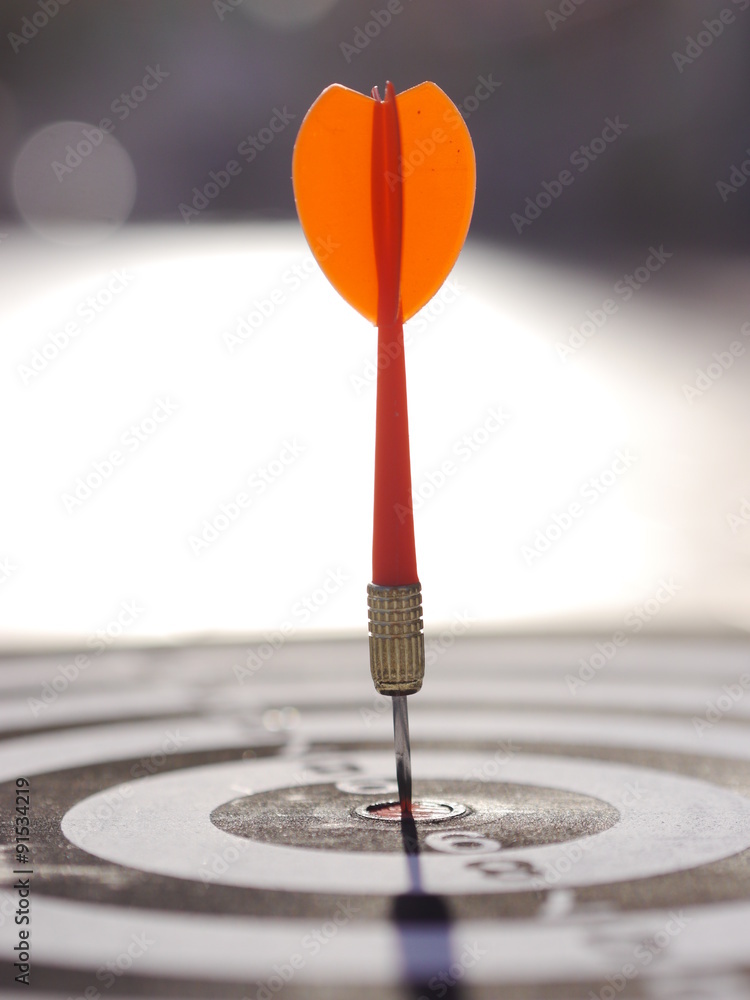 dart target aim