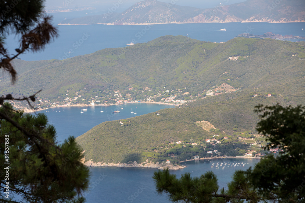 Panorama dell'Isola d'Elba tra i rami di pino