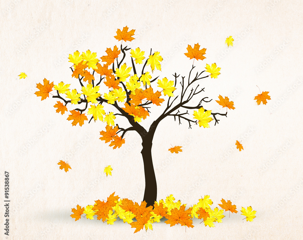 autumn maple tree - obrazy, fototapety, plakaty 