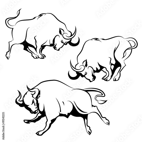 Fighting Bull Set