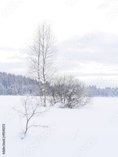 snow landscape winter © flucas