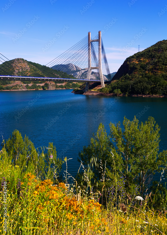 Fototapeta premium Landscape with cable-stayed bridge