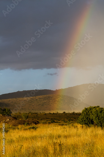 masai mara rainbow