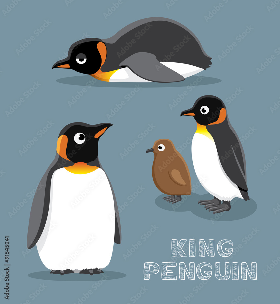 Fototapeta premium King Penguin Cartoon Vector Illustration