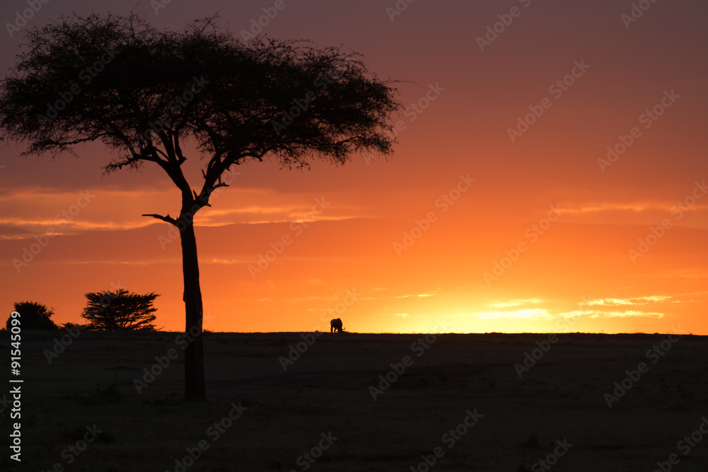 Naklejka premium masai mara sunset in kenya