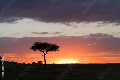 Obraz na płótnie masai mara sunset w salonie