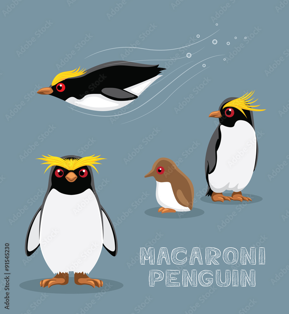 Obraz premium Macaroni Penguin Cartoon Vector Illustration