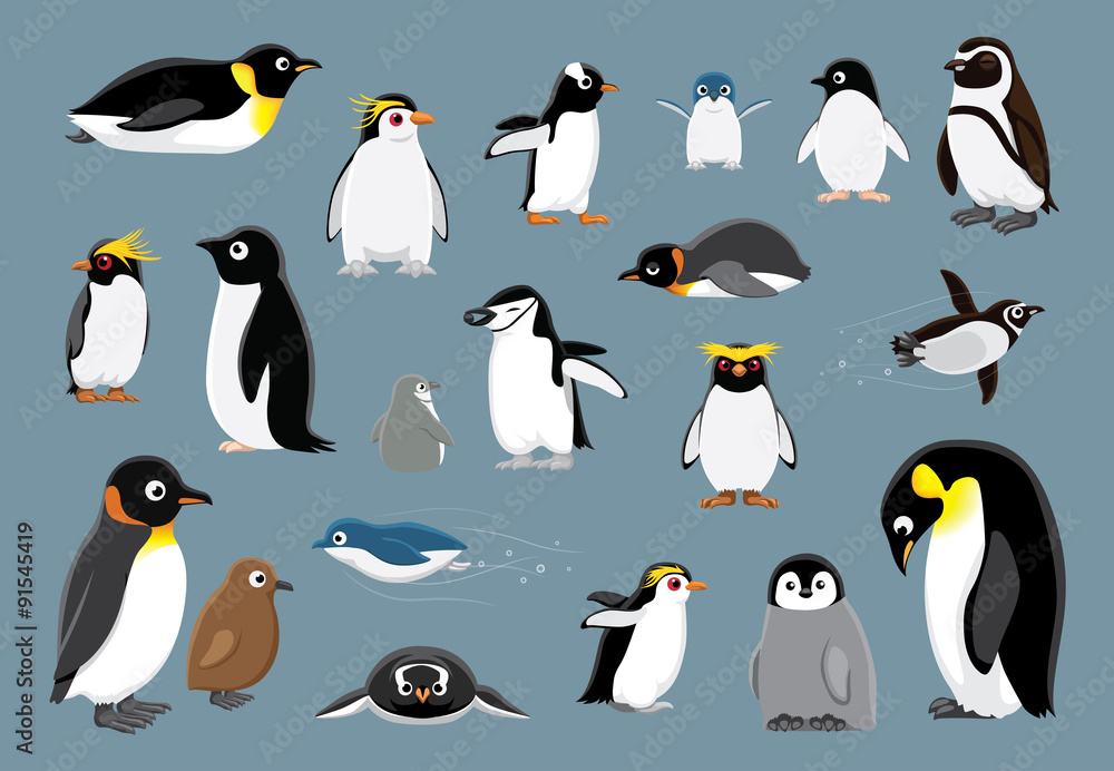 Naklejka premium Różne pingwiny kreskówka wektor ilustracja