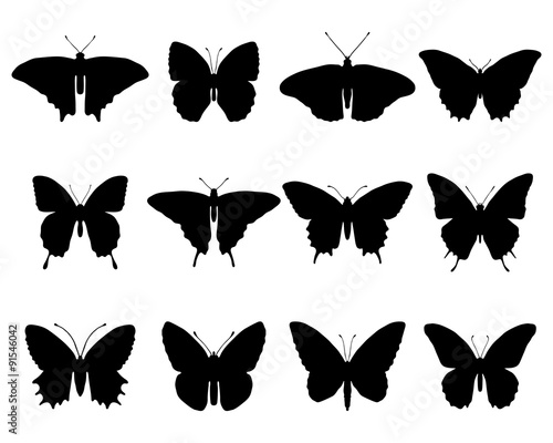 Silhouettes of butterflies, vector
