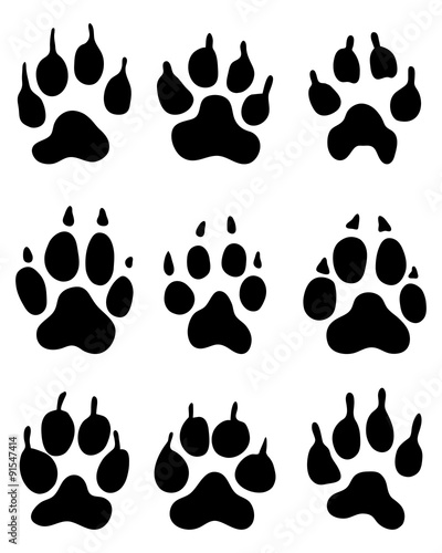 Black print of wolf paw, vector