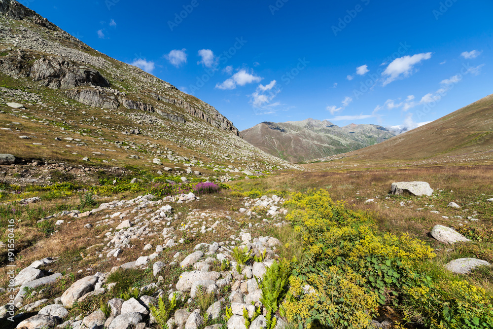 This is colorful view in Turkey mountains in summer