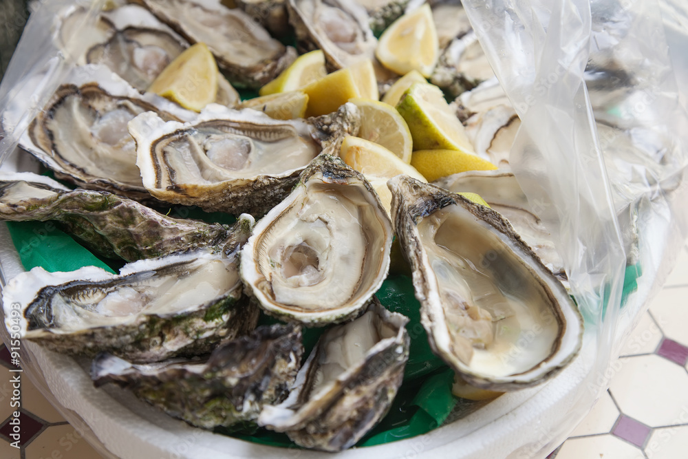Oysters in the plastic bag Oysters in the plastic bag