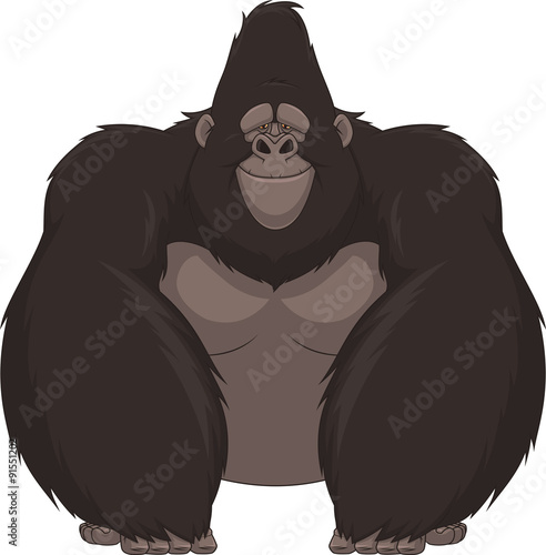 Funny monkey