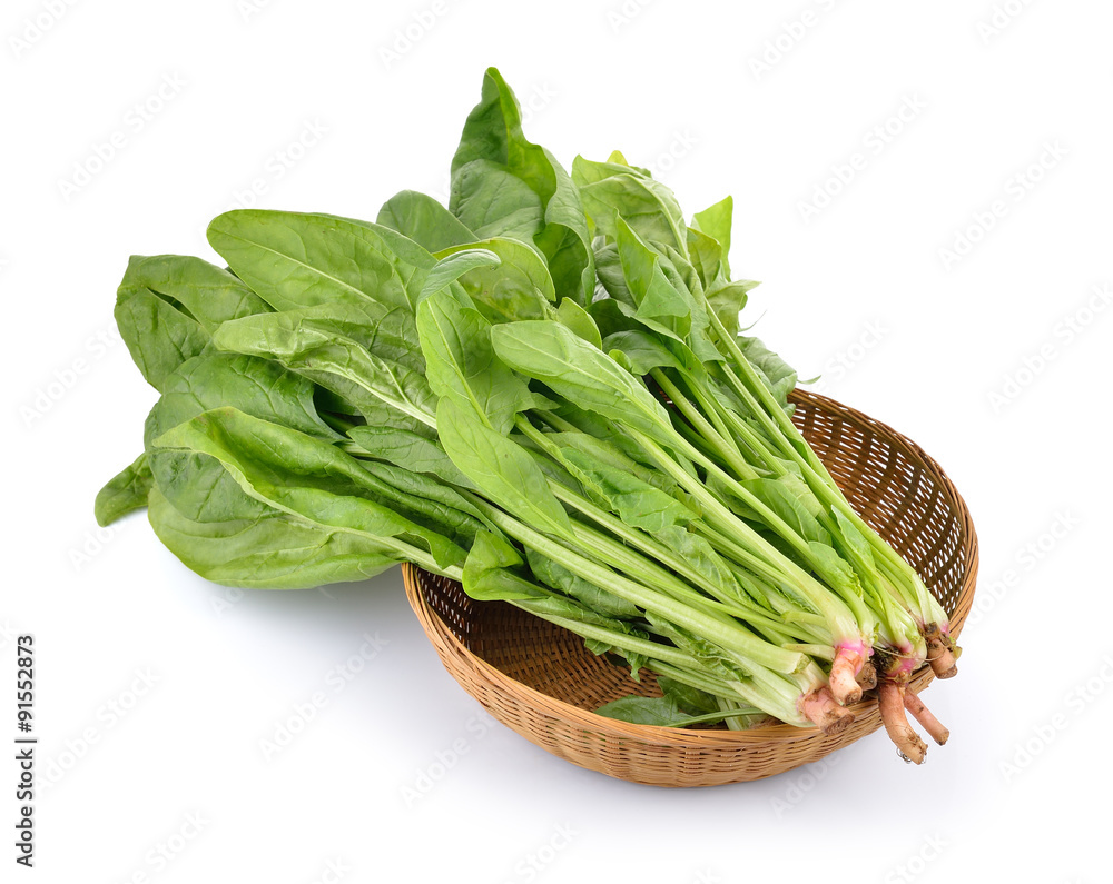 spinach in the basket on white background spinach in the basket on white background