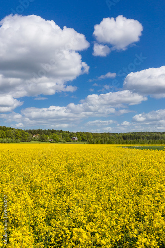 Color of Spring  Sweden