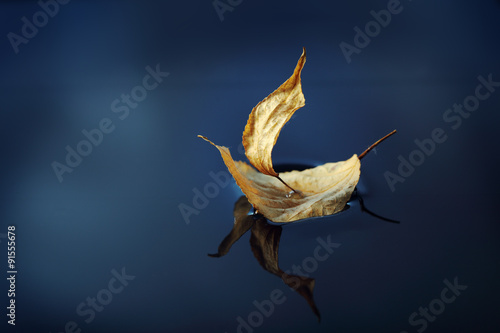 leaf ship in blue water © Chepko Danil