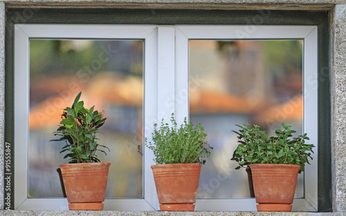 Window with flowerpots 1/Window with flowerpots  © drakuliren