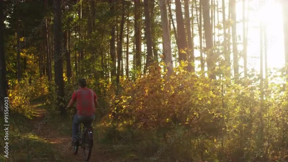 Man is Cycling in Forest in Sunlight Man is Cycling in Forest in Sunlight