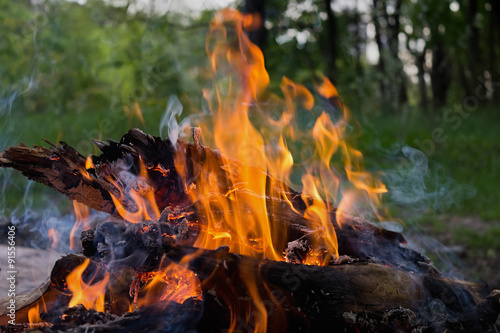 a fire in the woods closeup