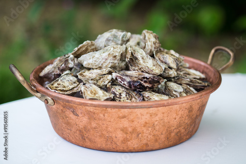 Fresh oysters lay in bucket