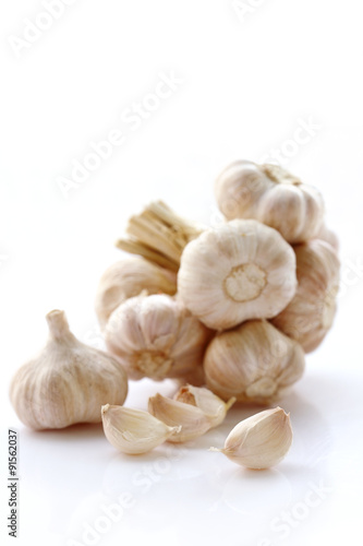 Fresh organic garlic on white.