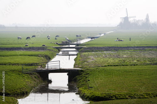 Obraz na plátně Typical Dutch foggy polder landscape