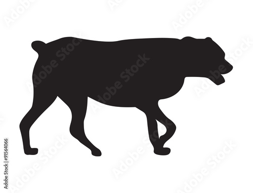 black silhouette of dog