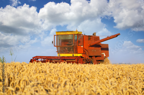 Combined harvester working in the field