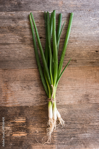 spring onion