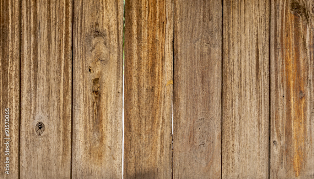 Wood texture wall background in the sunny day light Wood texture wall background in the sunny day light