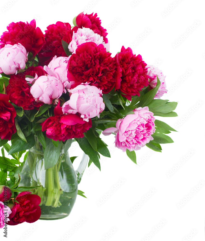 red and pink peonies red and pink peonies