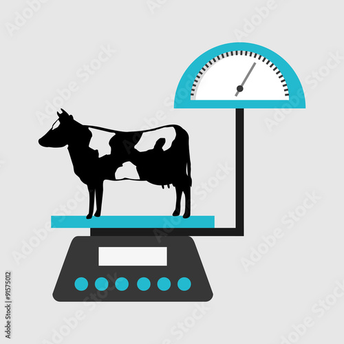 dairy products