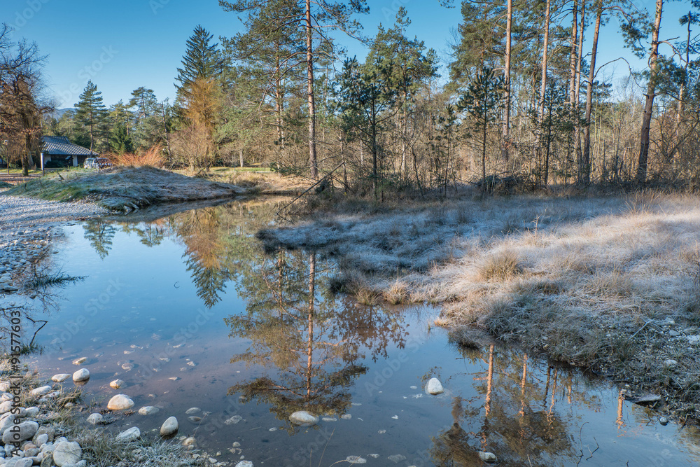 Wetlands in frost Wetlands in frost