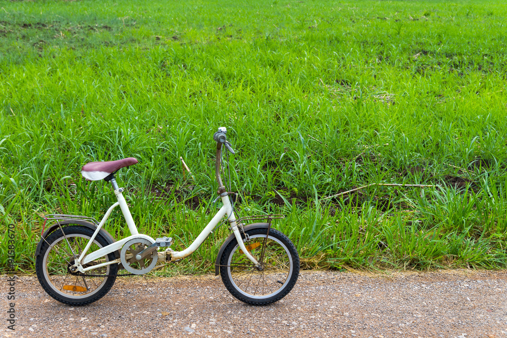old folding bicycle  and green grass meadow