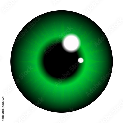 The pupil of the eye, eye ball. Realistic vector illustration isolated on white background.