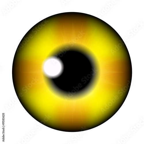 The pupil of the eye, eye ball. Realistic vector illustration isolated on white background.