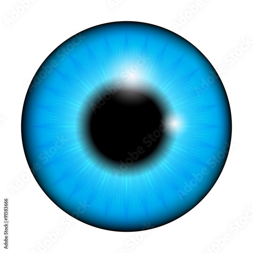 The pupil of the eye, eye ball. Realistic vector illustration isolated on white background.
