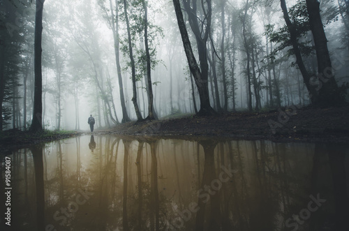 lake in forest with fog