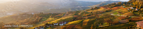 Foto Panoramic view of vineyards of Piedmont in autumn