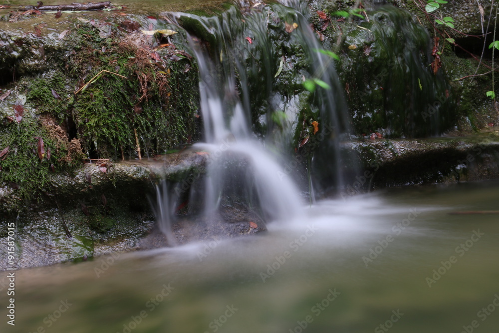 Le foreste Casentinesi