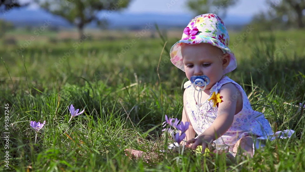 Eight month girl with flowers Eight month girl with flowers