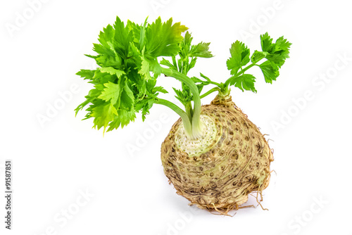 Fresh celery with root leaf on white background