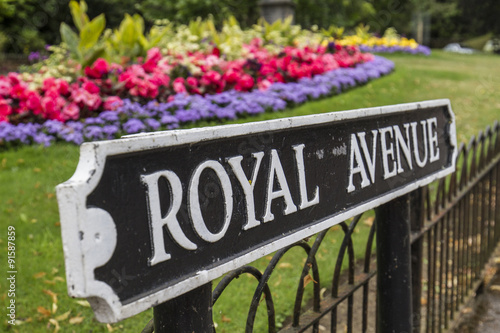 Royal Avenue road sign