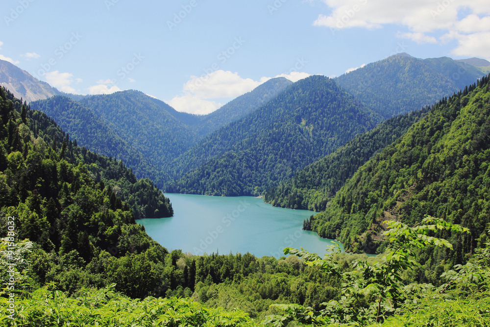 Caucasus. Abkhazia. Riza lake with clear blue water, surrounded by lush green forest against the blue sky with clouds, a sunny summer day