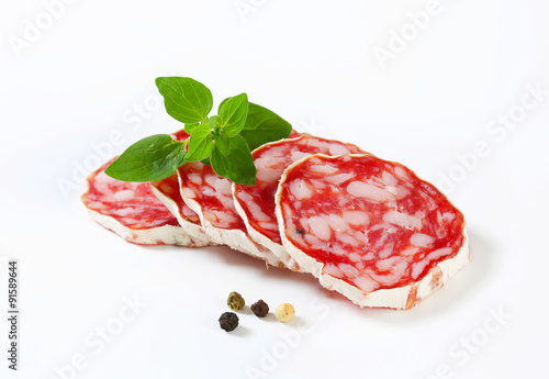 French dry sausage