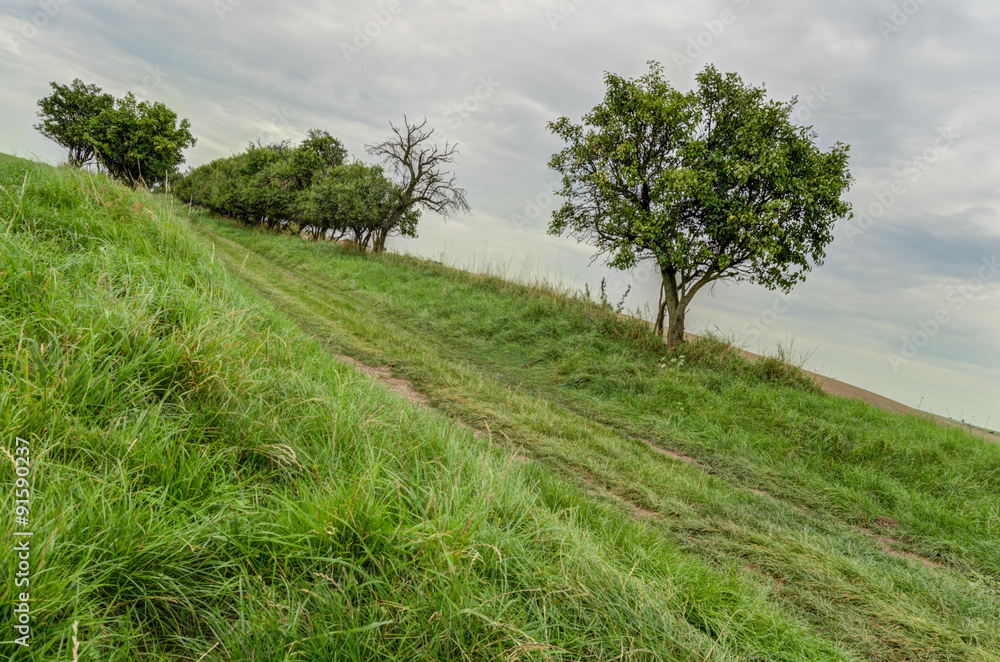 Schiefer Weg