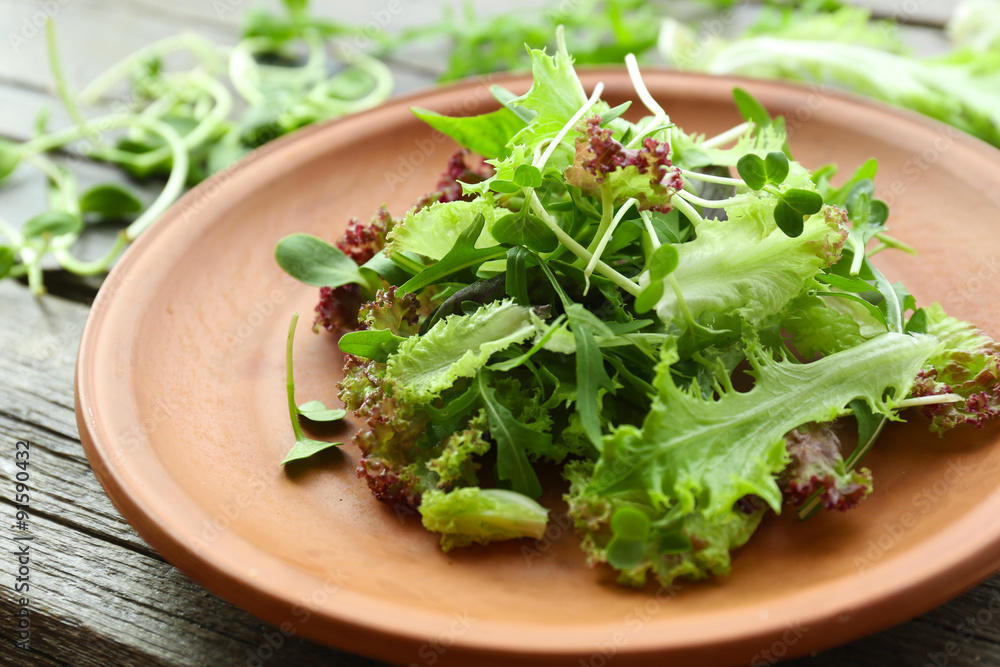 Plate of fresh mixed green salad on wooden table close up Plate of fresh mixed green salad on wooden table close up
