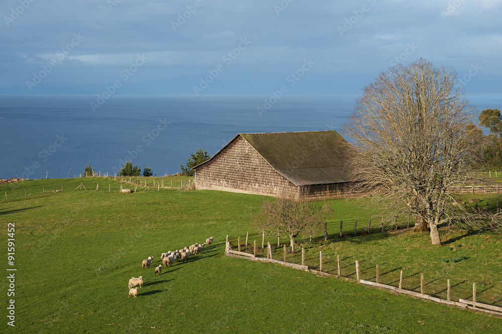 Obraz premium Traditional wooden tiled barn set in green pasture on the edge of Lake Llanquihue in southern Chile.