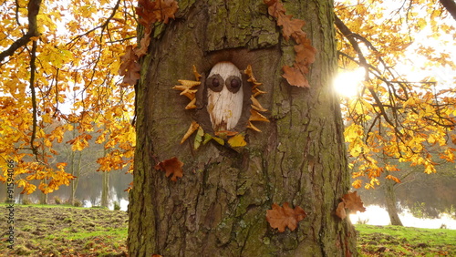 Herbstliche Landart mit Baum photo