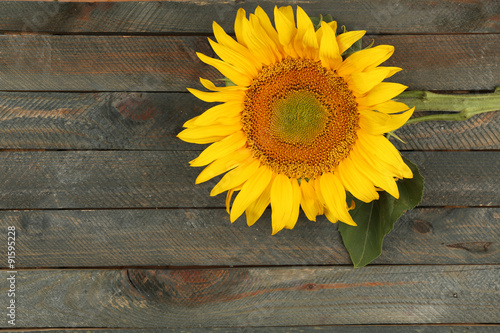 Fototapeta Naklejka Na Ścianę i Meble -  Beautiful sunflower on wooden background
